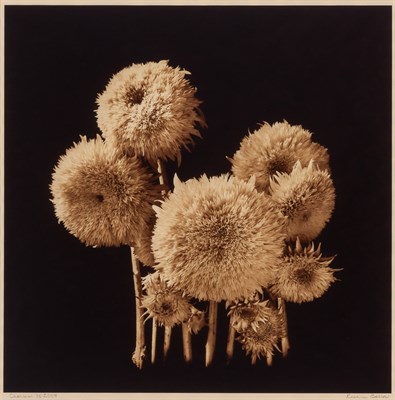 Lot 25 - BARROW, REENIE (b. 1944) Three photographs....