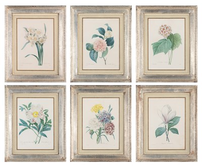 Lot 80 - After Pierre-Joseph Redouté (1759-1840)...