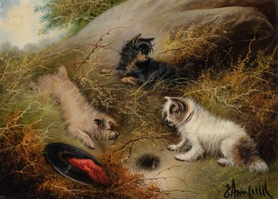Lot 1083 - Edward Armfield English, 1817-1896 Terriers...