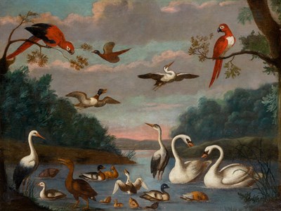 Lot 49 - Flemish School 18th/19th century Parrots and...