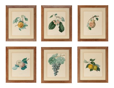 Lot 103 - William Hooker (1779-1832) [FRUIT STUDIES] Six...