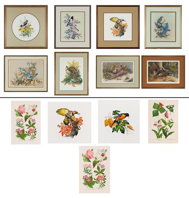 Lot 79 - Roger Tory Peterson (1908-1996) [BIRDS AND...
