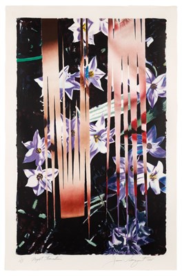 Lot 191 - James Rosenquist (1933-2017) NIGHT TRANSITIONS...