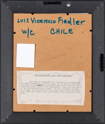 Lot 20 - Luis Vicencio Fiedler