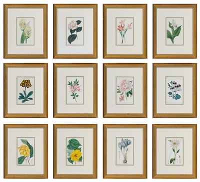 Lot 106 - Sydenham Teak Edwards (1769-1819) [BOTANICAL...