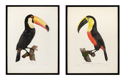 Lot 85 - After Jacques Barraband (1767-1809) LE COCO NO....