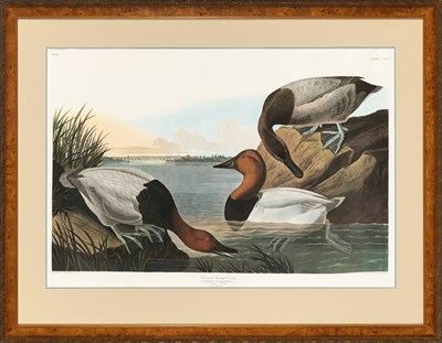 Lot 1090 - After John James Audubon (1785-1851) CANVAS...