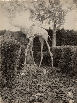 Lot 61 - FONTECUBERTA, JOAN (b. 1955) "Elephant's...