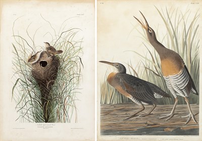 Lot 1089 - After John James Audubon (1785-1851) NUTTALLS...