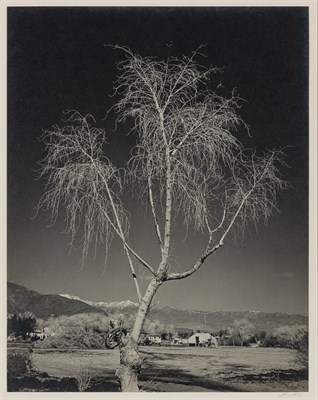 Lot 3 - ADAMS, ANSEL (1902-1984) Indian Property near...