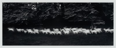 Lot 41 - Collection: The Collection of Jay I. Kislak...