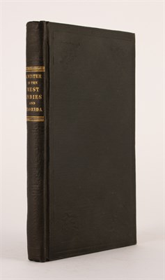 Lot 172 - [FLORIDA] AN INVALID. A Winter in the West...