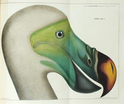 Lot 153 - [DODO] BLAINVILLE, HENRI MARIE DUCROTAY DE....