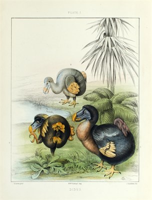 Lot 155 - [DODO] OWEN, RICHARD, with a historical...