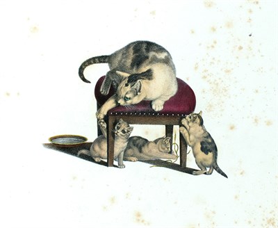 Lot 133 - [CATS] MIND, GOTTFRIED. X Blatter...