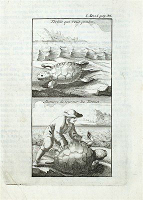 Lot 203 - LABAT, JEANNE BAPTISTE Nieuwe reizen naar de...