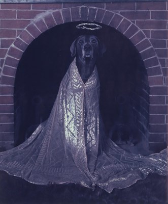 Lot 138 - WEGMAN, WILLIAM (b. 1943) Good Dog, (Angel)...