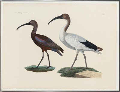 Lot 272 - [PRINTS-BIRDS] Group of fourteen large color...