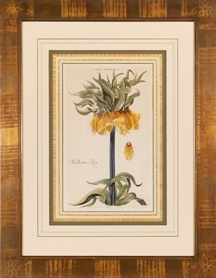 Lot 95 - After Johann Michael Seligmann (1720-1762)...