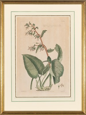 Lot 95 - After Johann Michael Seligmann (1720-1762)...