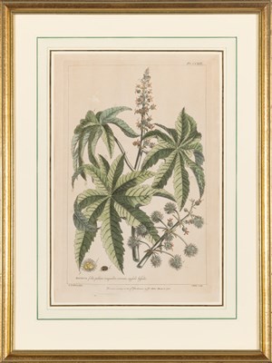 Lot 95 - After Johann Michael Seligmann (1720-1762)...