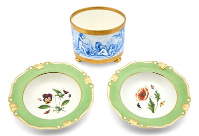 Lot 166 - Pair of Derby Botanical Decorated Porcelain...