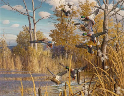 Lot 1126 - Harry Curieux Adamson American, 1916-2012...