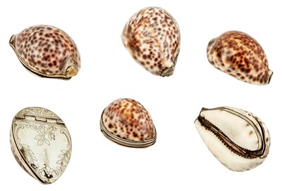 Lot 1172 - Six Silver and Silver Plate Mounted Cowrie...
