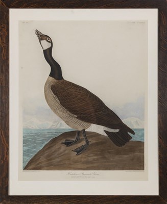 Lot 1015 - After John James Audubon (1785-1851)...