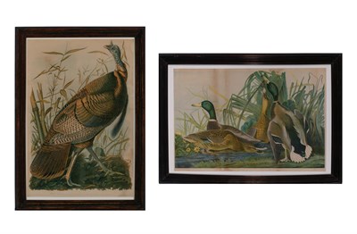 Lot 1016 - After John James Audubon (1785-1851) WILD...