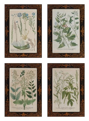 Lot 105 - After Johann Wilhelm Weinmann (1683-1741)...