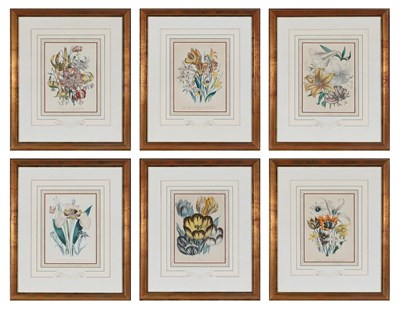 Lot 107 - Jane Wells Loudon (1807-1858) [FLOWER STUDIES]...