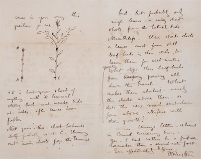 Lot 134 - RUSKIN, JOHN Autograph letter signed with a...