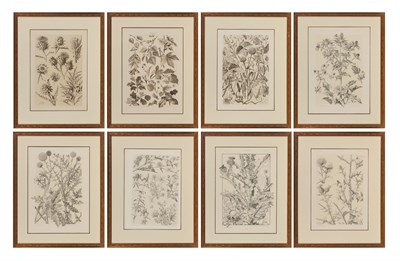 Lot 108 - Gerlach & Schenk, publishers [BOTANICAL...
