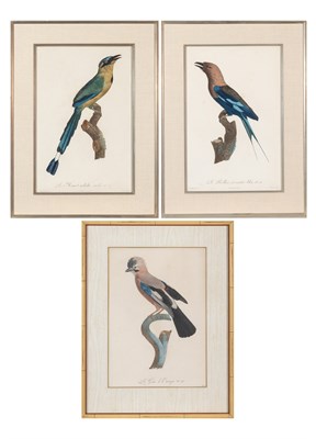 Lot 95 - After Jacques Barraband (1768-1809) [TROPICAL...