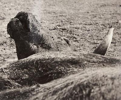 Lot 2043 - CLERGUE, LUCIEN (1934-2014) Group of twenty...