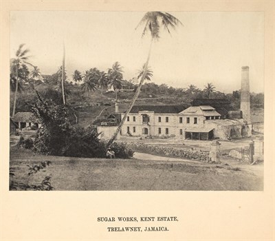 Lot 162 - [JAMAICA] KERR, WILLIAM JAMES. The...