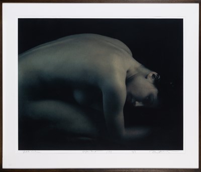 Lot 584 - Annie Leibovitz
