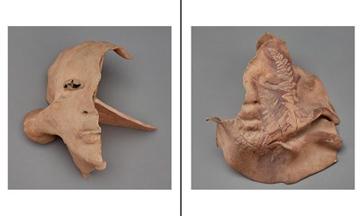 Lot 2123 - Mary Frank American, b .1933 Head with Ferns,...