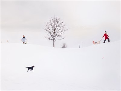 Lot 2023 - BLACKMON, JULIE (b. 1966) Lost Mitten, 2010....
