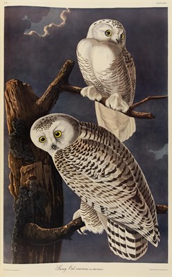 Lot 1017 - AUDUBON, JOHN JAMES (after) The Birds of...