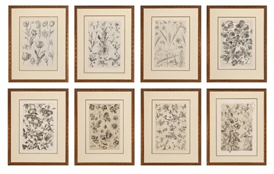 Lot 101 - Gerlach & Schenk, publishers [BOTANICAL...