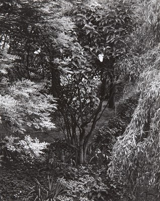 Lot 2092 - SUDEK, JOSEF (1896-1976) [From the Series 'In...