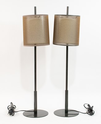 Pair of Contemporary Metal Table Lamps