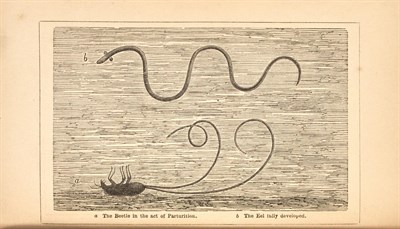 Lot 139 - [ANGLING] CAIRNCROSS, DAVID. The Origin of the...