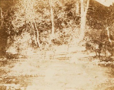 Lot 3011 - William Henry Fox Talbot. A Mountain Rivulet.