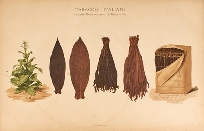 Lot 26 - [TOBACCO]
SPARANO, NICOLA and G. CONTI, illustrator. Guida agrario-merceologica dei tabacchi greggi indigeni...