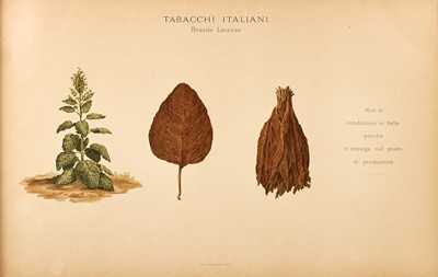 Lot 26 - [TOBACCO]
SPARANO, NICOLA and G. CONTI, illustrator. Guida agrario-merceologica dei tabacchi greggi indigeni...