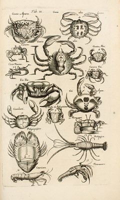Lot 13 - JONSTON, JOHN
Historiae Naturalis. De piscibus et cetis. Libri V...