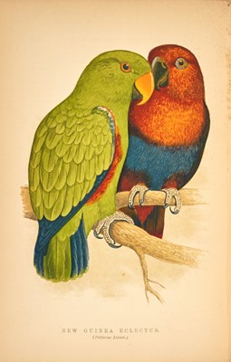 Lot 21 - [ORNITHOLOGY]
RUSS, DR. KARL [translated by] LEONORA SCHULTZE. The Speaking Parrots: A Scientific Manual.